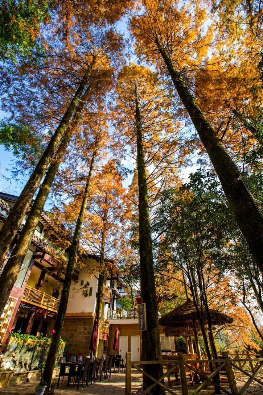 Wuyi Mountain Ancient Street Forest Living England Time Inn Vujisan Kültér fotó